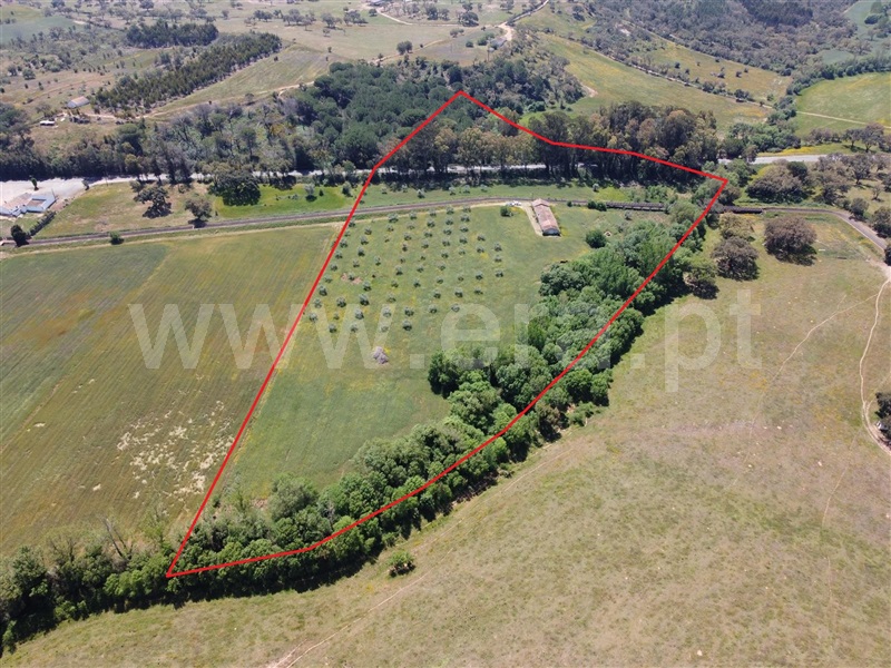 Quinta T4 / Odemira, Colos