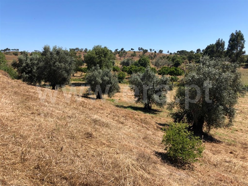 Quinta T3 Odemira, São Luís - 1175810 - 12