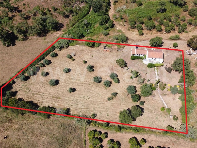 Quinta T4 / Odemira, São Luís