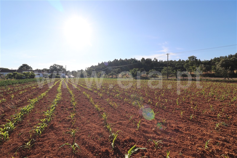 Quinta T4 Odemira, São Luís - 1485780 - 58