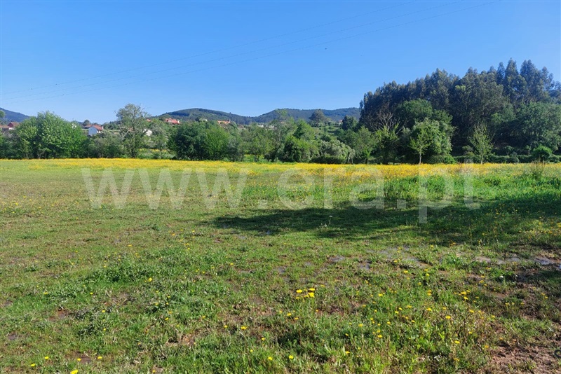 Quinta T4 Ponte de Lima, Brandara - 1481240 - 3