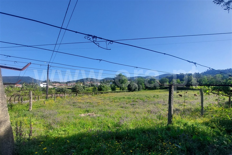 Quinta T4 Ponte de Lima, Brandara - 1481240 - 8