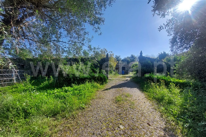 Quinta T4 Ponte de Lima, Brandara - 1481240 - 9