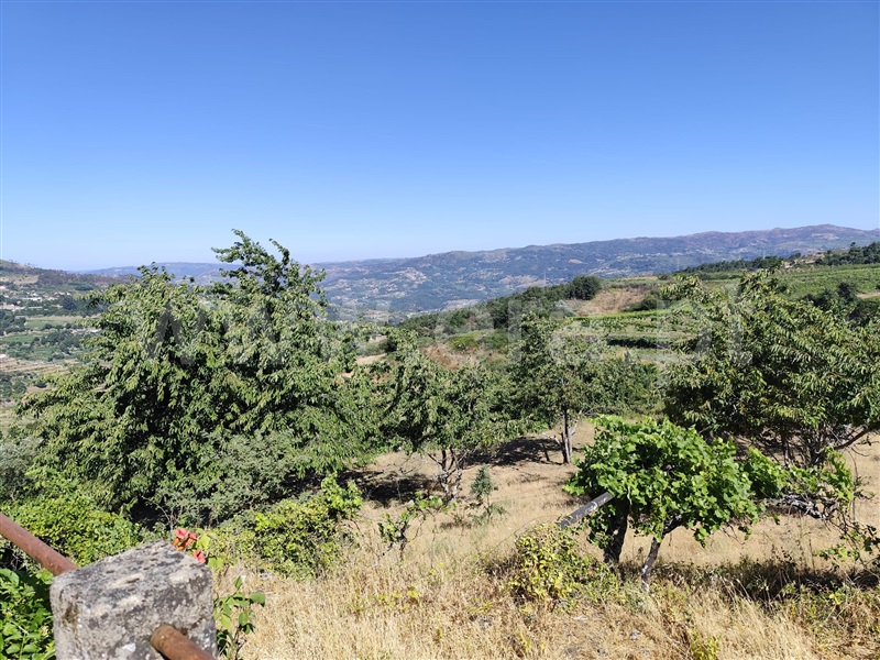 Moradia T4 Resende - 1490132 - 5