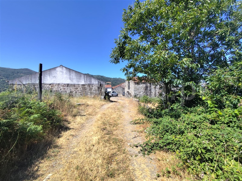 Moradia T4 Resende - 1490132 - 8