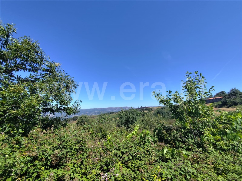 Moradia T4 Resende - 1490132 - 9