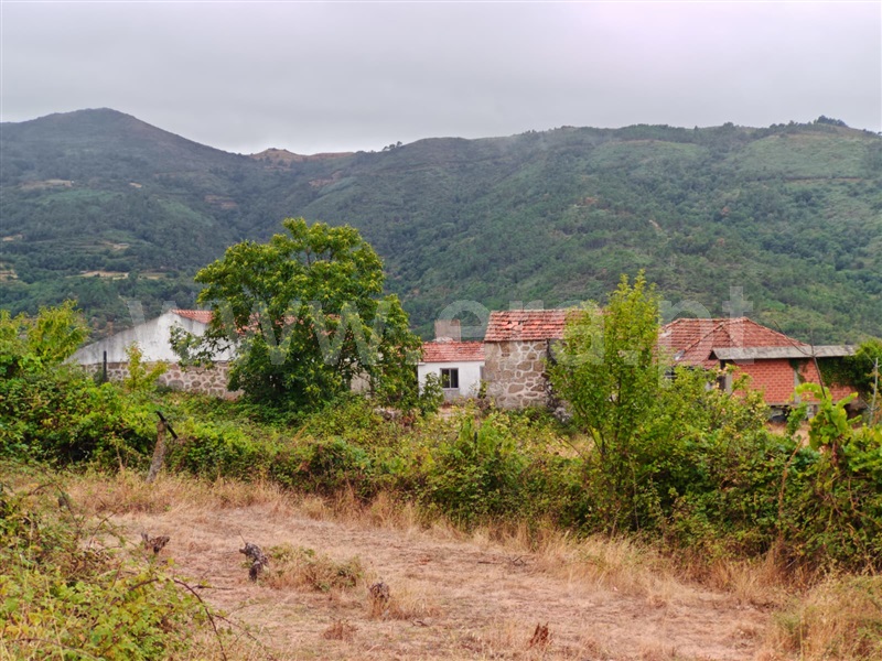 Quinta T4 Resende - 1490132 - 7