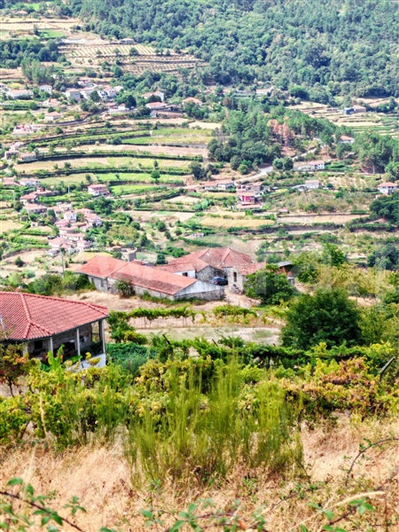 Quinta T4 Resende - 1490132 - 14