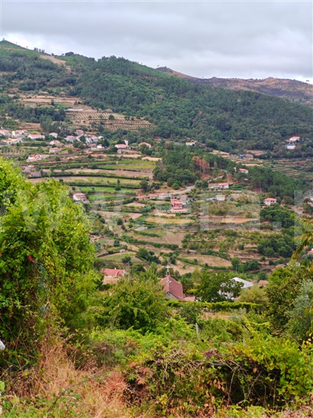 Quinta T4 Resende - 1490132 - 16