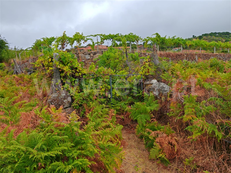 Quinta T4 Resende - 1490132 - 17