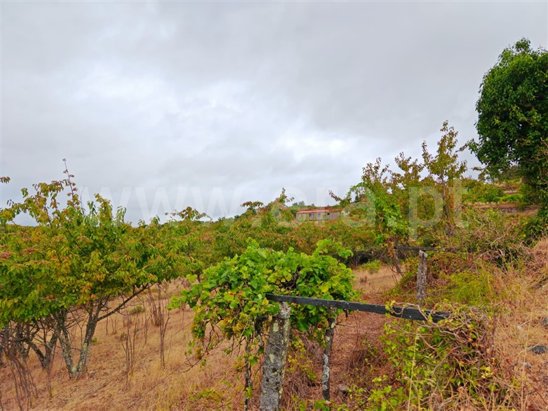 Quinta T4 Resende - 1490132 - 18