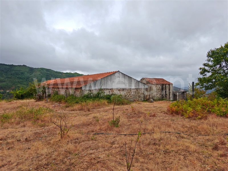 Quinta T4 Resende - 1490132 - 20