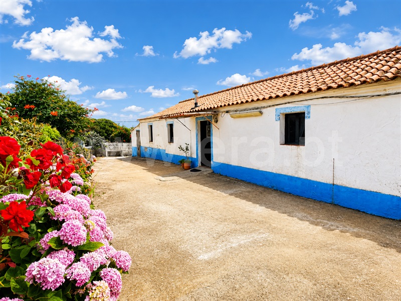 Quinta T4 / Sines, Porto Covo