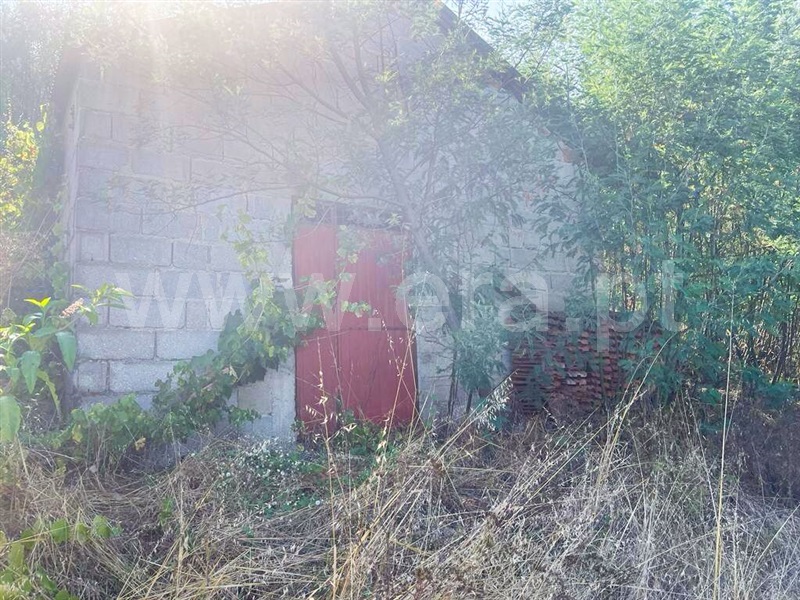 Quinta T4 Tondela, Campo de Besteiros - 1344390 - 4