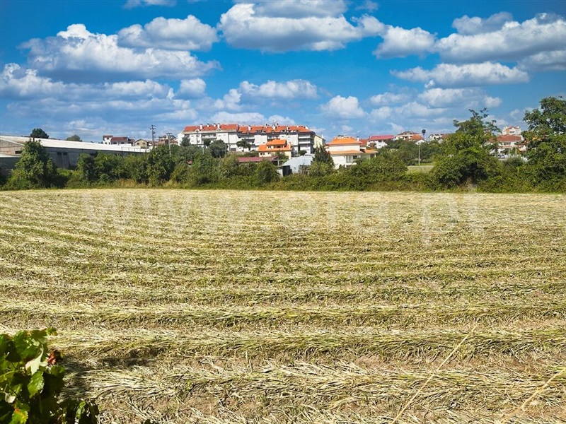 Quinta T4 Tondela, Campo de Besteiros - 1344390 - 6