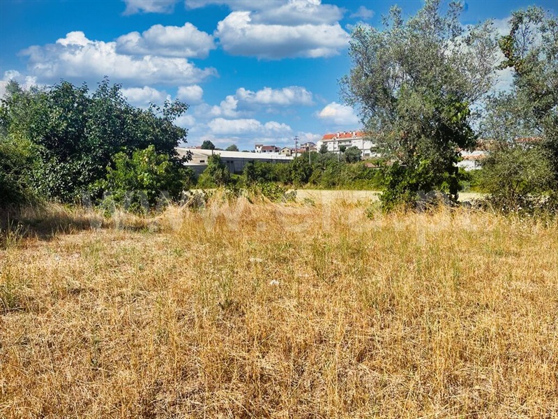 Quinta T4 Tondela, Campo de Besteiros - 1344390 - 7