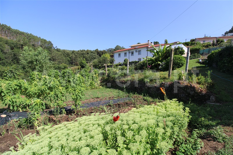 Quinta T4 Vale de Cambra, Macieira de Cambra - 1422053 - 5
