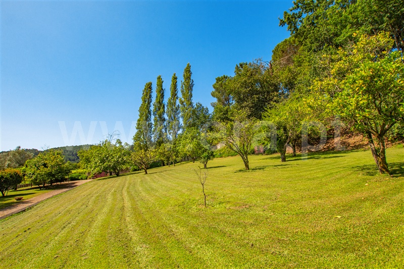 Quinta T4 com Luxo Valença, São Julião e Silva - 1337029 - 44