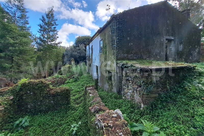 Quinta T4 Viana do Castelo, Viana do Castelo - 1439982 - 5