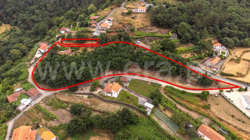 Quinta T4 / Vila Nova de Cerveira, Covas
