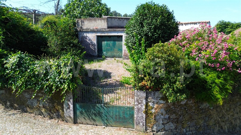 Quinta  Amarante, Figueiró (Santiago e Santa Cristina) - 1434454 - 2