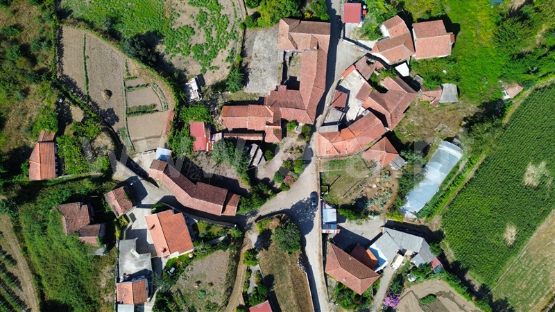 Quinta  Amarante, Figueiró (Santiago e Santa Cristina) - 1434454 - 5