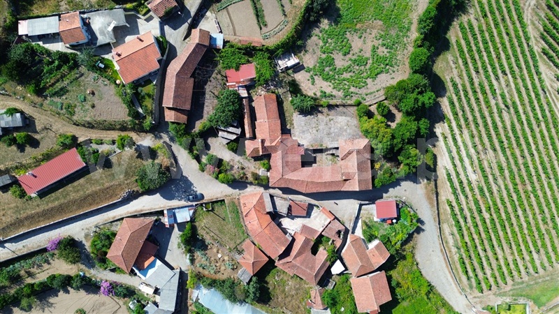 Quinta  Amarante, Figueiró (Santiago e Santa Cristina) - 1434454 - 6