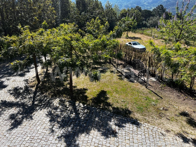 Quinta T5 com Grande Amarante, Gondar - 1396549 - 40