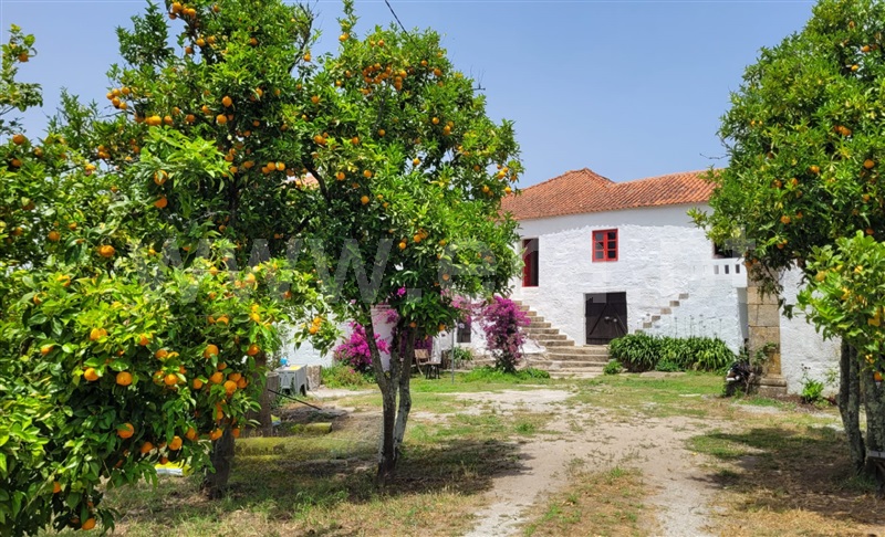 Quinta T3 Castelo de Paiva, Sobrado e Bairros - 1337923 - 31