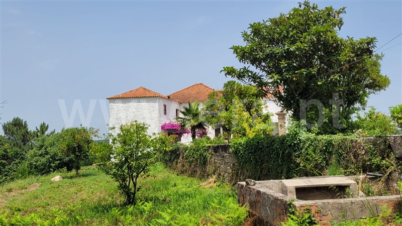 Quinta T3 Castelo de Paiva, Sobrado e Bairros - 1337923 - 33