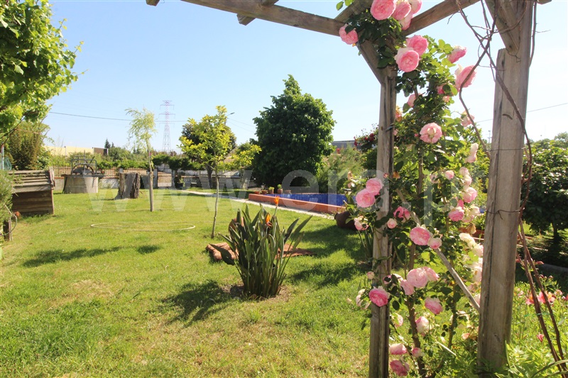 Quinta T5 Entroncamento, Nossa Senhora de Fátima - 1488288 - 3