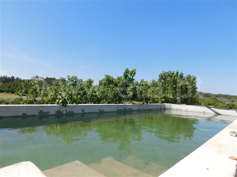 Quinta T5 Fundão, Enxames - 1023587 - 2