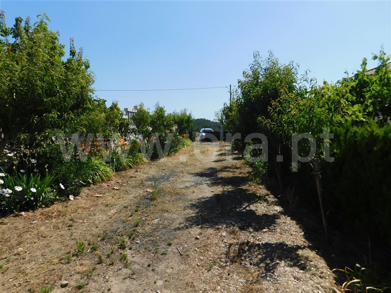 Quinta T5 Fundão, Enxames - 1023587 - 9