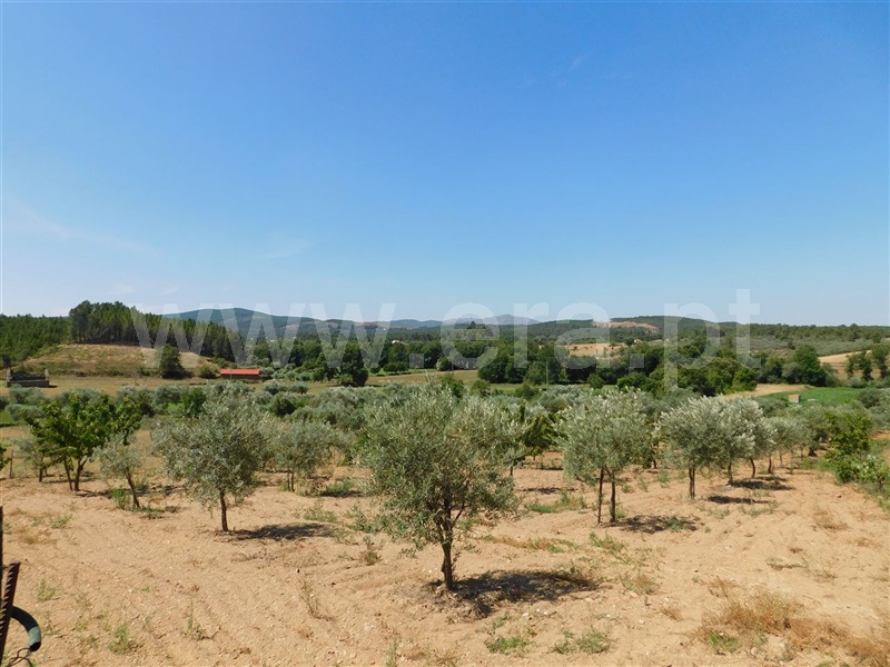 Quinta T5 Fundão, Enxames - 1023587 - 10