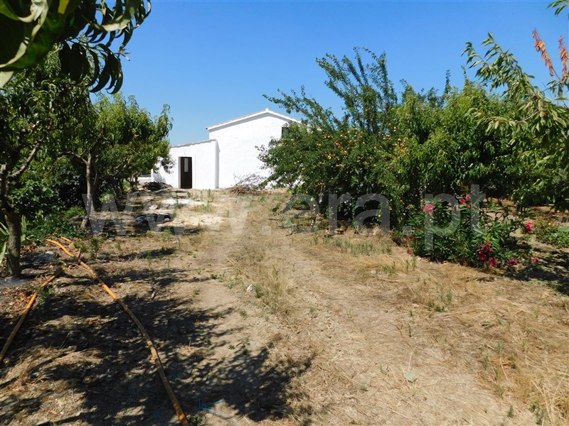 Quinta T5 Fundão, Enxames - 1023587 - 11