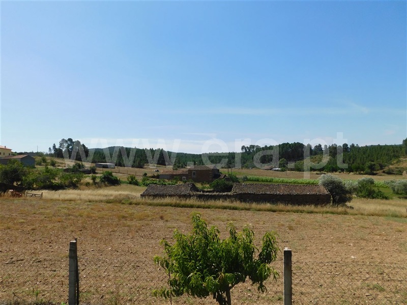 Quinta T5 Fundão, Enxames - 1023587 - 12