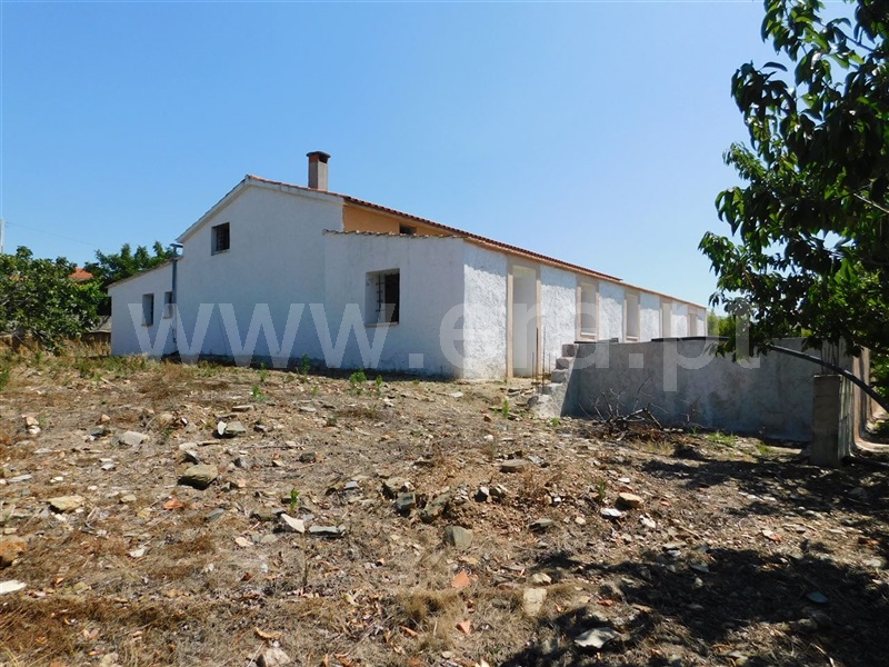 Quinta T5 Fundão, Enxames - 1023587 - 13