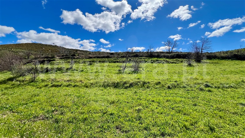 Quinta T5 Gouveia, Moinhos da Serra, São Paio - 1463700 - 15