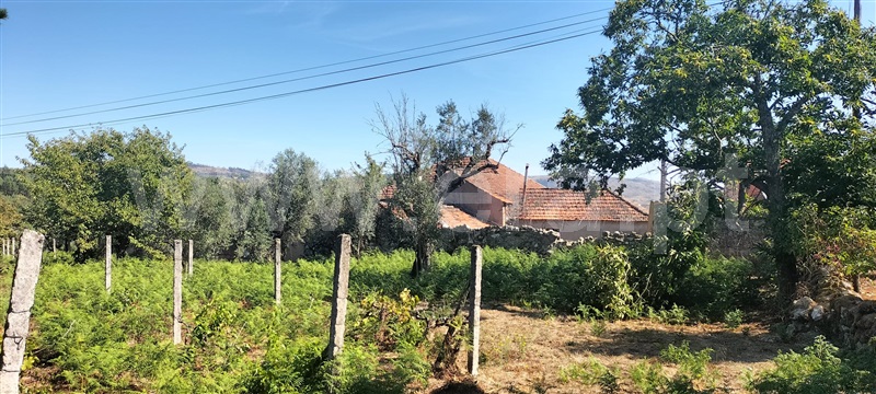 Quinta T5 / Mangualde, Santiago de Cassurrães e Póvoa de Cervães