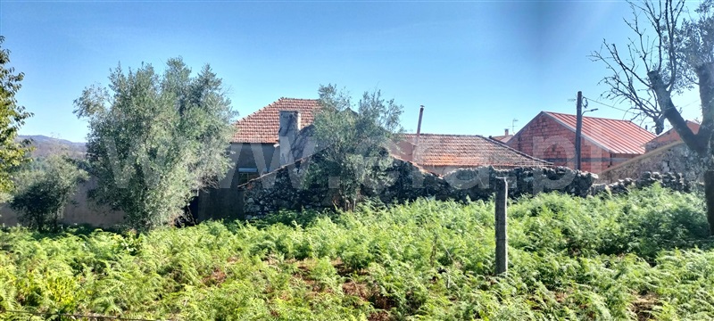 Moradia T5 Mangualde, Santiago de Cassurrães e Póvoa de Cervães - 1507907 - 4