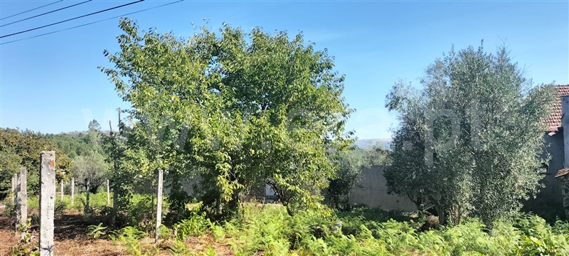 Moradia T5 Mangualde, Santiago de Cassurrães e Póvoa de Cervães - 1507907 - 6