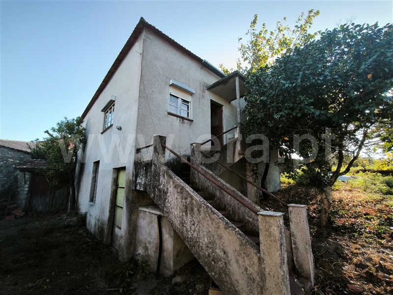 Quinta T5 / Mangualde, Santiago de Cassurrães e Póvoa de Cervães