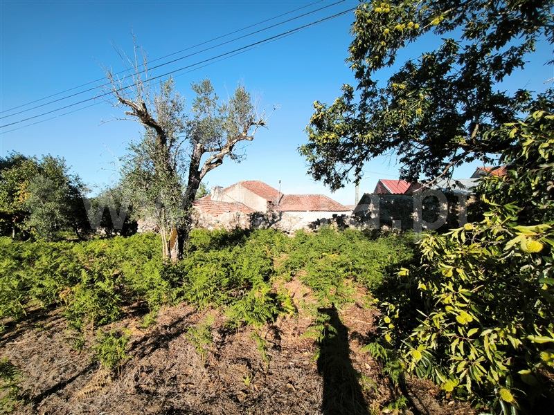 Quinta T5 Mangualde, Santiago de Cassurrães e Póvoa de Cervães - 1507907 - 64