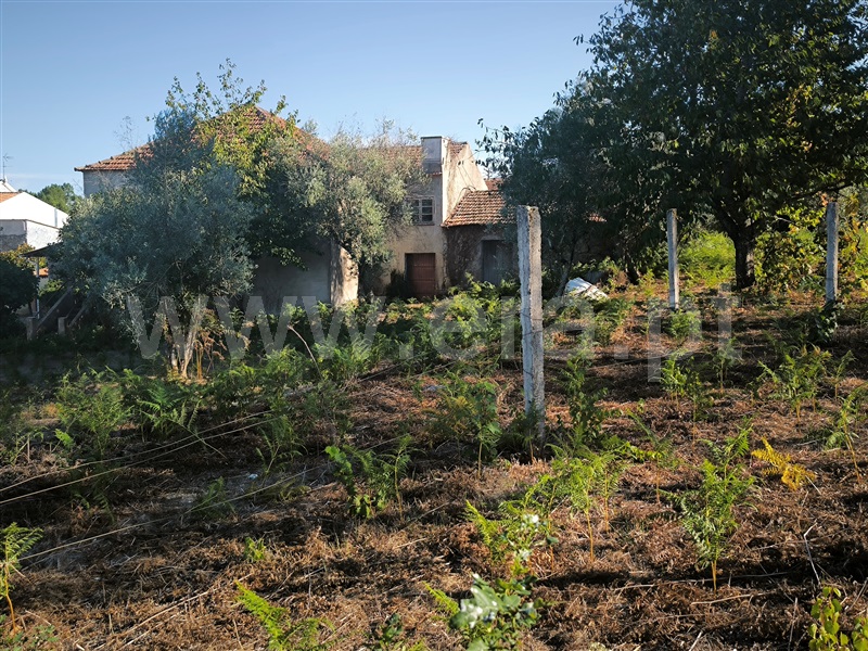 Quinta T5 Mangualde, Santiago de Cassurrães e Póvoa de Cervães - 1507907 - 65
