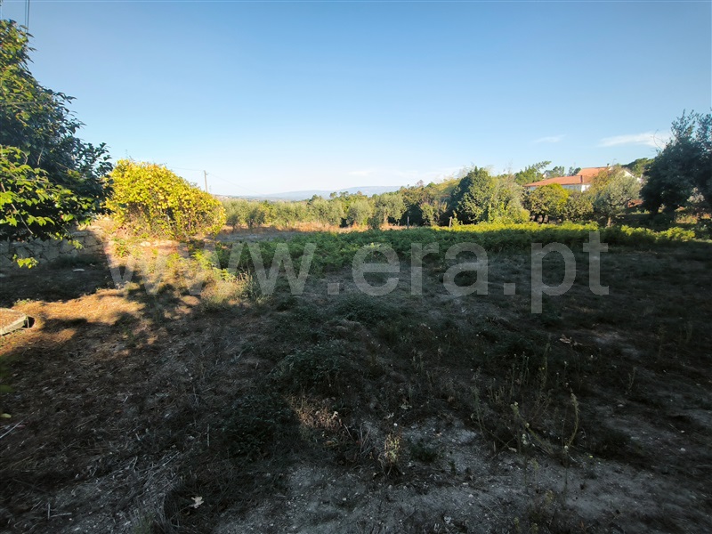 Quinta T5 Mangualde, Santiago de Cassurrães e Póvoa de Cervães - 1507907 - 66