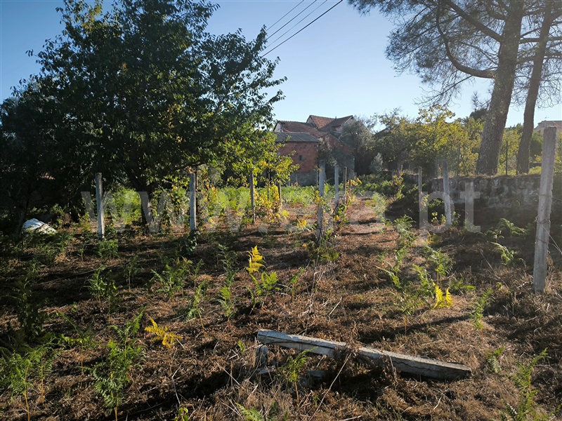 Quinta T5 Mangualde, Santiago de Cassurrães e Póvoa de Cervães - 1507907 - 68