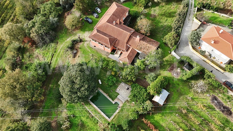 Quinta T5 / Marco de Canaveses, Constance
