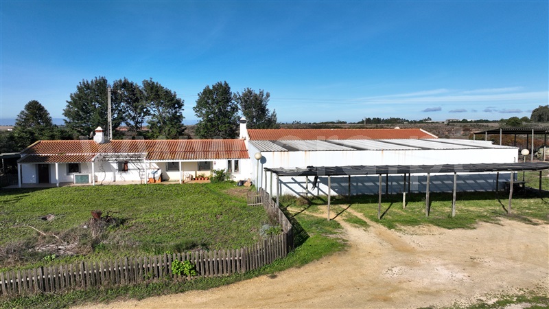 Quinta T5 / Odemira, Longueira/Almograve