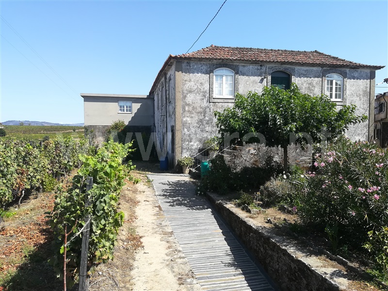Quinta T5 / Peso da Régua, Fontelas