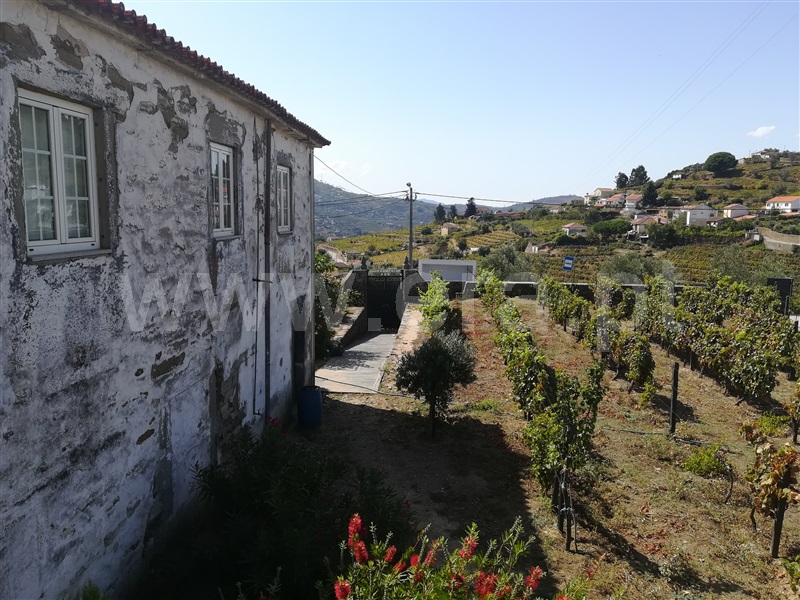 Quinta T5 Peso da Régua, Fontelas - 1176919 - 17